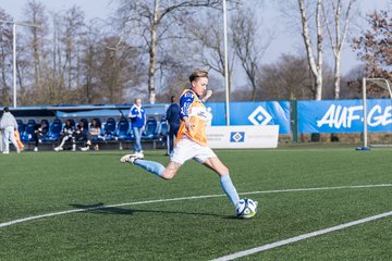 Bild 120 - F Hamburger SV 3 - Blau-Weiss 96 : Ergebnis: 5:1